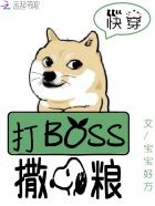 촩ϵͳBOSS